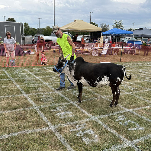 Cow Patty Bingo